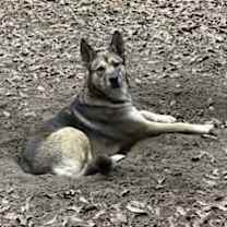 Thumbnail photo of Princess #2