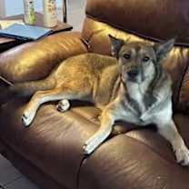 Thumbnail photo of Princess #3