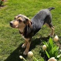 Thumbnail photo of Blair #2