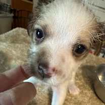 Thumbnail photo of Snow Holidaze #1