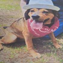 Thumbnail photo of Chips #2