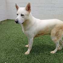 Thumbnail photo of Champagne 2760 #4