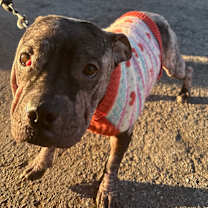 Thumbnail photo of Sister #1