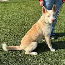 Thumbnail photo of Bobo #4