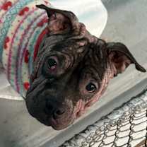 Thumbnail photo of Sister #2