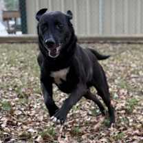 Thumbnail photo of Extra Cheese #4