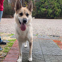 Thumbnail photo of Diva #3