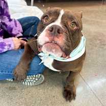 Thumbnail photo of Law-coco #4