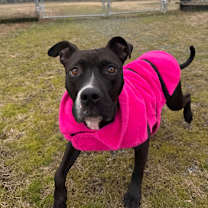 Thumbnail photo of Ruby #4