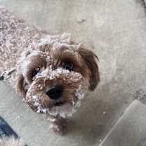 Thumbnail photo of London #1