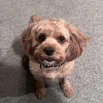 Thumbnail photo of London #2