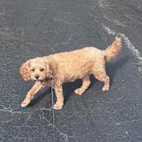 Thumbnail photo of London #3