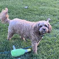 Thumbnail photo of London #4