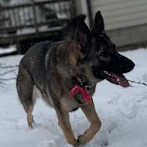 Thumbnail photo of Rayne #4