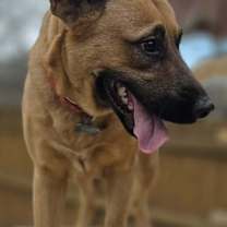 Thumbnail photo of Krissy #3