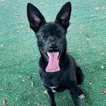 Thumbnail photo of Abagail #1