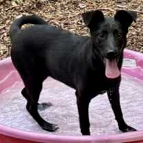 Thumbnail photo of Abagail #2