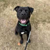 Thumbnail photo of Jack 2.0 #1