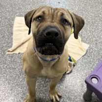 Thumbnail photo of Sailboat #2