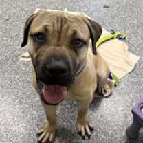 Thumbnail photo of Sailboat #3