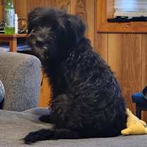 Thumbnail photo of Bodie #2