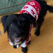 Thumbnail photo of Bodie #4