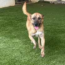 Thumbnail photo of Boss #1