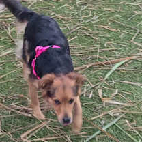 Thumbnail photo of Sofia #1