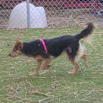 Thumbnail photo of Sofia #2