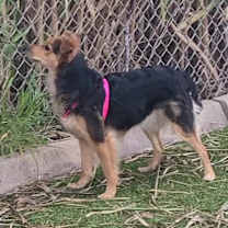 Thumbnail photo of Sofia #3