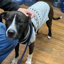 Thumbnail photo of Osiris #1