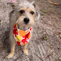 Thumbnail photo of Lilly #4