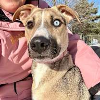 Thumbnail photo of Bunny #3