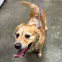 Thumbnail photo of Zebro #2