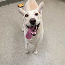 Thumbnail photo of Spice #3