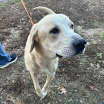 Thumbnail photo of John Doe #2