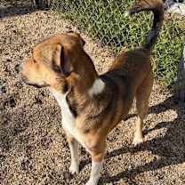 Thumbnail photo of Herman #2