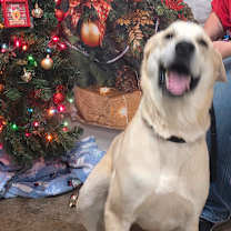 Thumbnail photo of John Doe #3