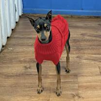 Thumbnail photo of CALVIN #4