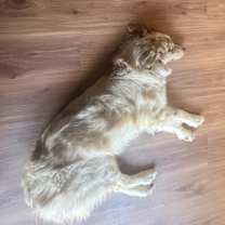 Thumbnail photo of Diana #1