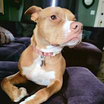 Thumbnail photo of Samantha #3