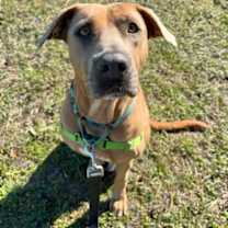 Thumbnail photo of Cher #1