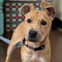 Thumbnail photo of Clara #1