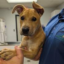 Thumbnail photo of Clara #2