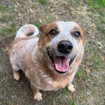 Thumbnail photo of Jakey #1