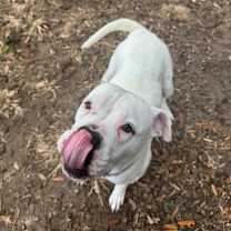 Thumbnail photo of Trisha(HW+) #3