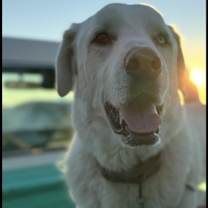 Thumbnail photo of Hank #3