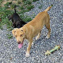 Thumbnail photo of Cade #1