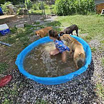 Thumbnail photo of Cade #3