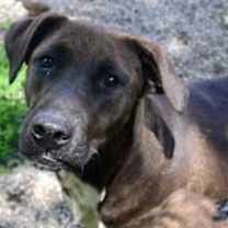 Thumbnail photo of Corina #1